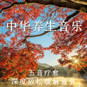 白茶与鹿双拳
